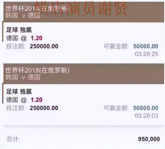 世界杯投注平台访问方式怎么选？盘点分析给你答案（世界杯赛事中心）